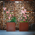 Corten-Teräs Istutusastia Neliö CLARA – 5 Kokoa