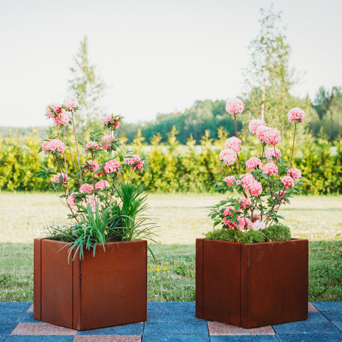 Corten-Teräs Istutusastia Neliö CLARA – 5 Kokoa