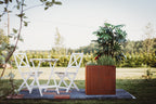 Corten-Teräs Istutusastia Neliö CLARA – 5 Kokoa