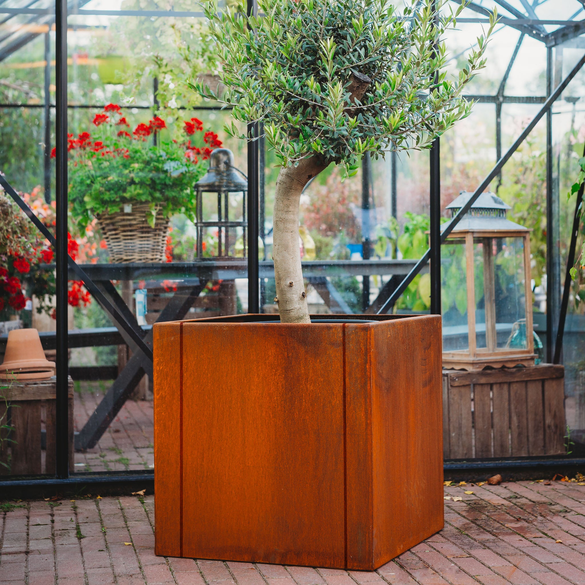 Corten-Teräs Istutusastia Neliö CLARA – 5 Kokoa