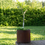 Corten-Teräs Istutusastia Pyöreä MYY – 5 Kokoa